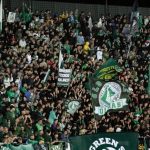 Serie B, Avellino-Reggiana: 4-3, battaglia a suon di gol, ma la spuntano i lupi