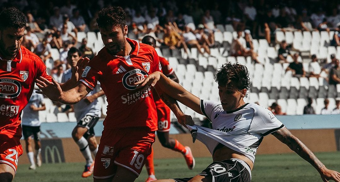 serie b, cesena mantova