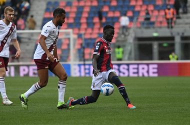 Serie A: Bologna-Torino: 0-0