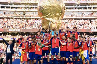 Spagna_campione_FernandoTorres_OfficialX
