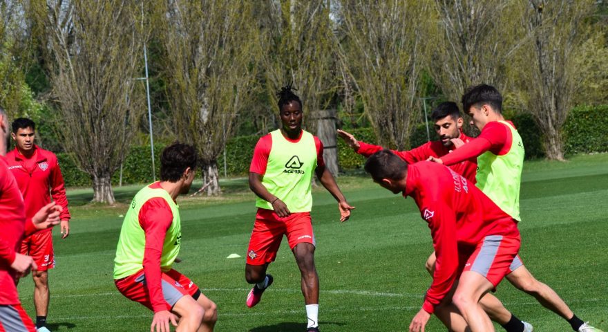 cremonese allenamento